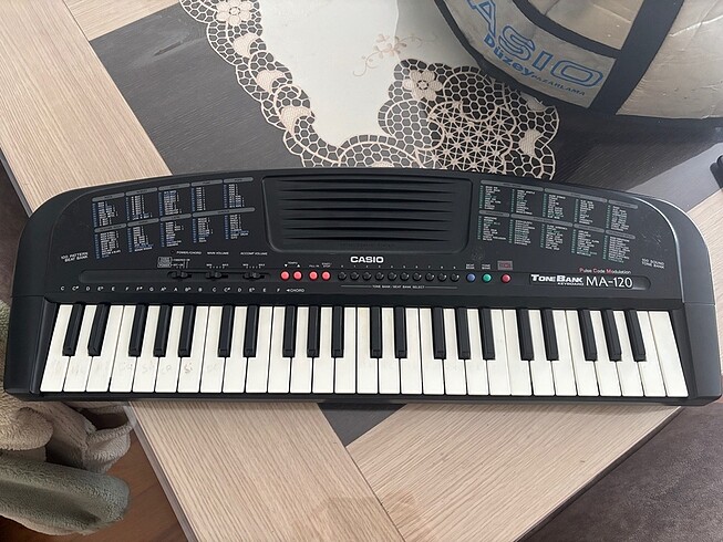 CASIO ORG