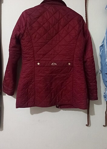 U.S Polo Assn. Kadın mont