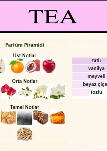 Tutaste Victoria Secret TEA - Görsel 3