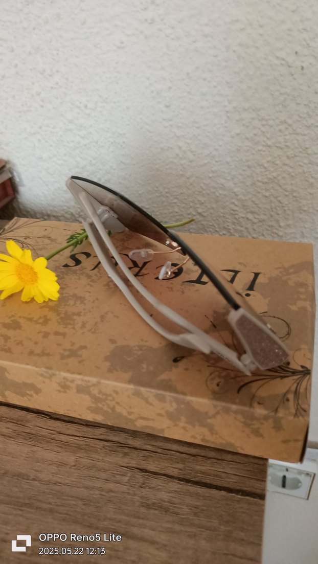 Kahverengi Minimalist Kadın Güneş Gözlüğü - Görsel 2