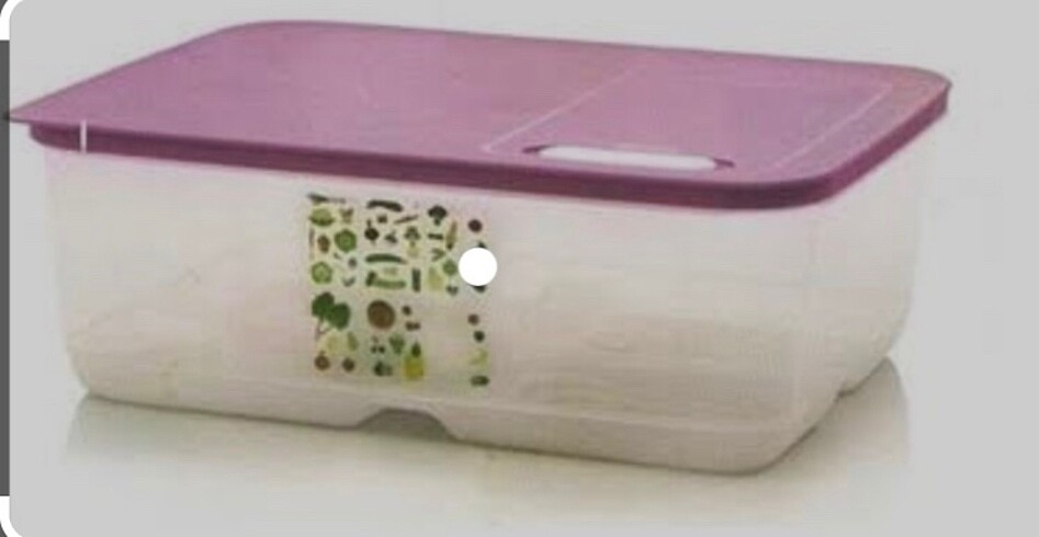 Tupperware sera sebzelik