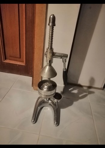 Gri meyve Sıkacağı - Görsel 3