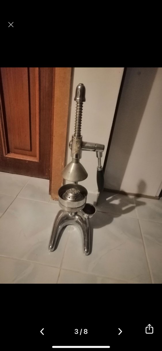 Gri meyve Sıkacağı - Görsel 3