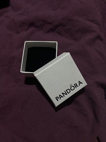Pandora Pandora Charm kutusu
