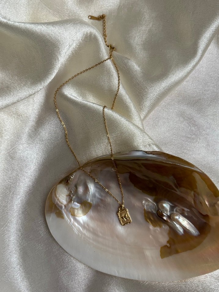 Kelebek Vintage Madalyon Bohem Çelik Kolye - Görsel 3