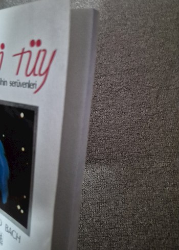 Mavi Tüy - Richard Bach - Görsel 4