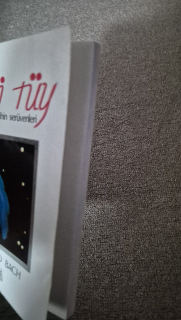 Mavi Tüy - Richard Bach - Görsel 4