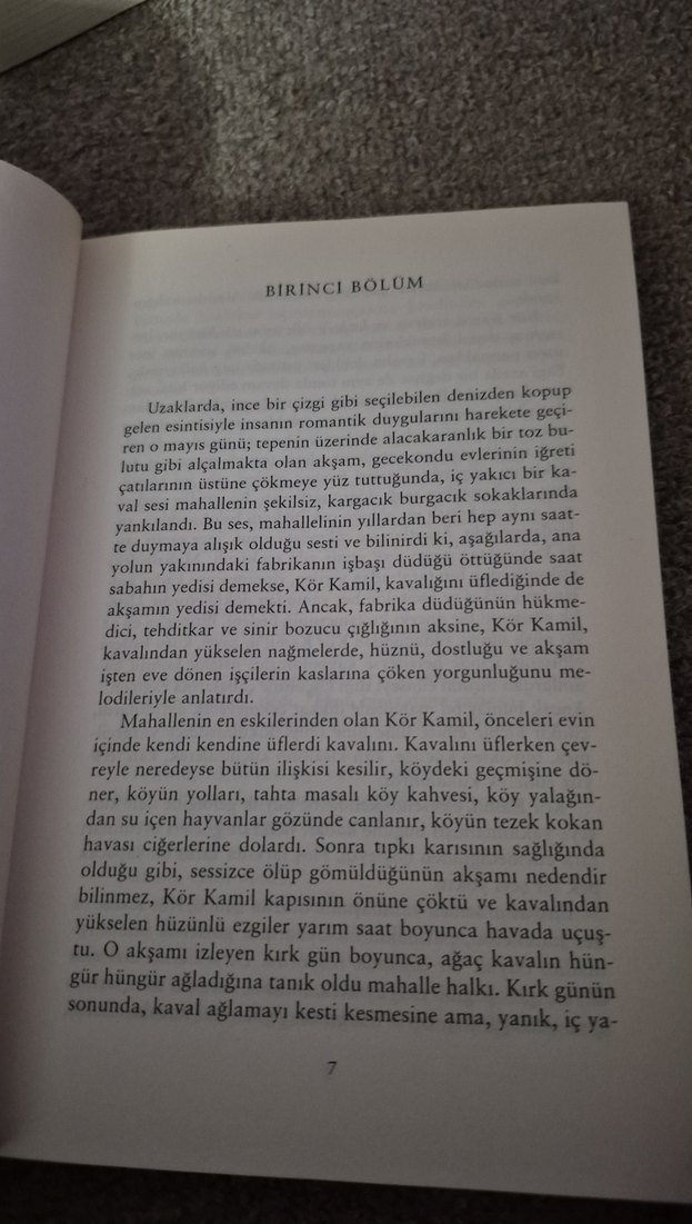 Can Dostu - Yücel Sarpdere - Görsel 4