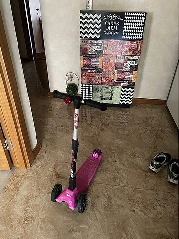 Beden pembe Renk Voit Scooter
