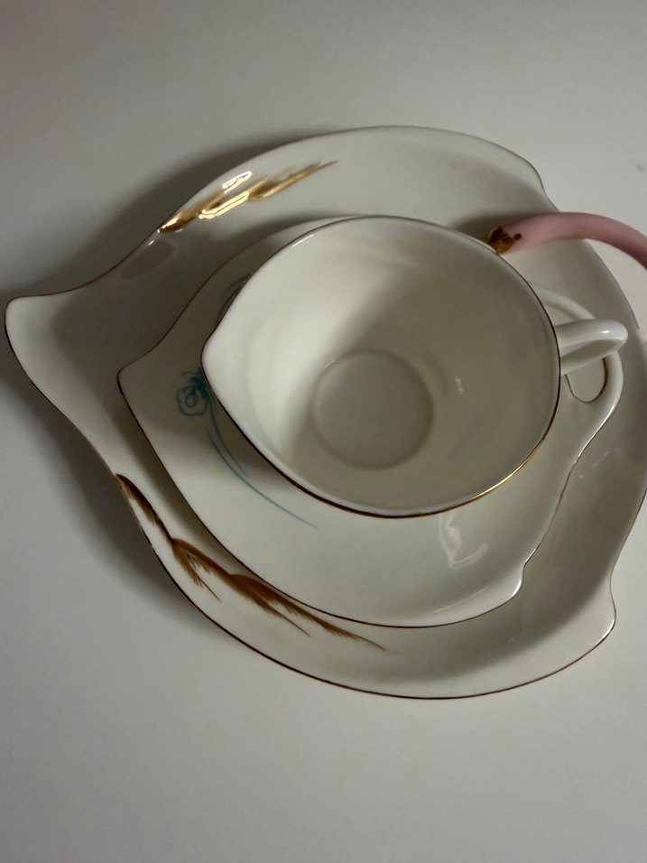 Mikasa Moor Beyaz Kuğu Desenli Pastel Tabak - Görsel 4