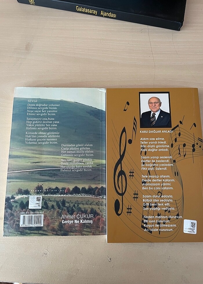 Şiir kitabı - Görsel 2