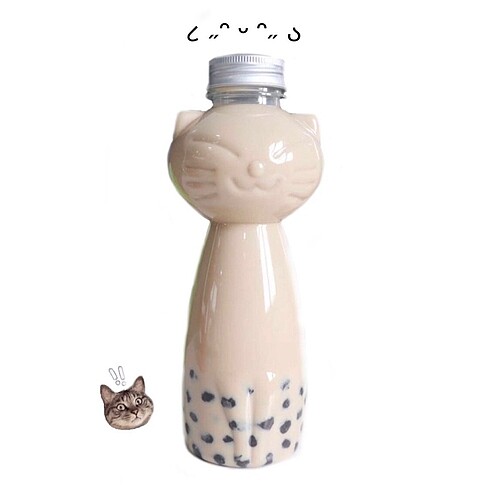 Kedi Şişe