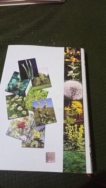  Beden Kitap