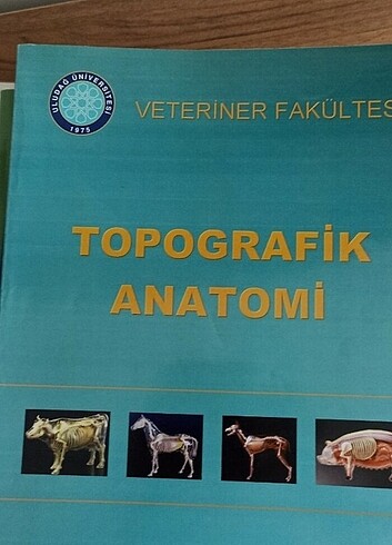 Hayvan davranışları ve topografik anatomi