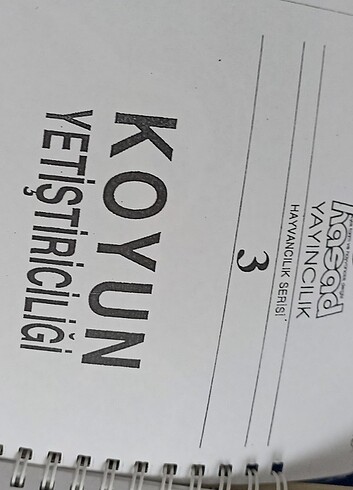 Koyun yetiştiriciliği
