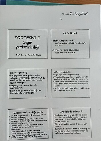 Sığır yetiştiriciliği