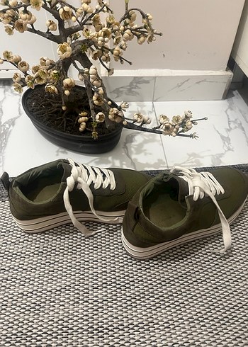 zara 37