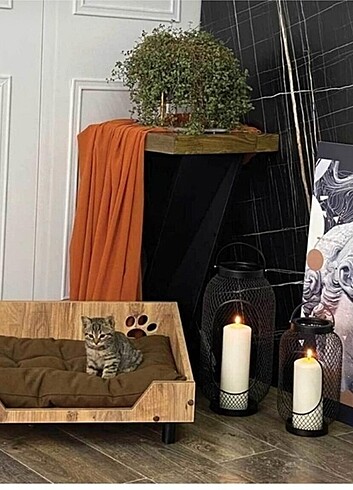 Beden Renk KEDİ YATAĞI