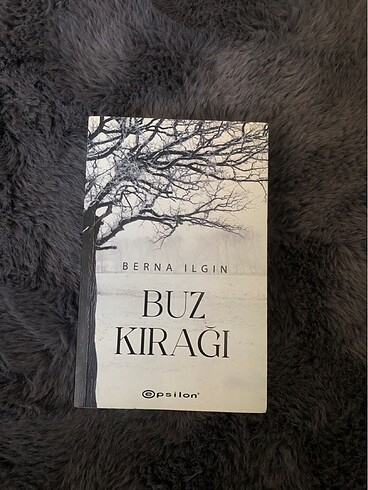 Berna Ilgın Buz Kırağı 1
