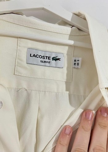 Lacoste gömlek - Görsel 2