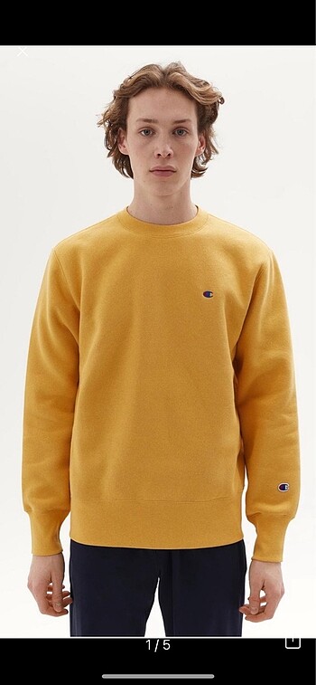 Champion sweatshirt