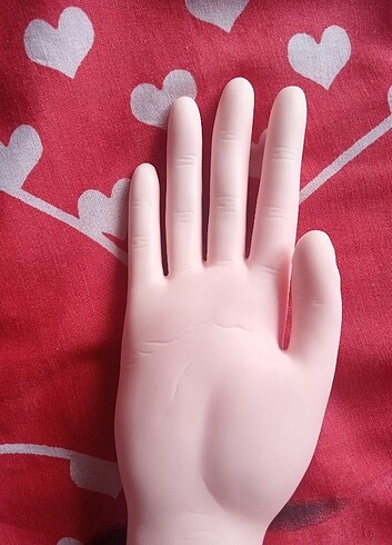 Eğitim için el mankeni - Görsel 6