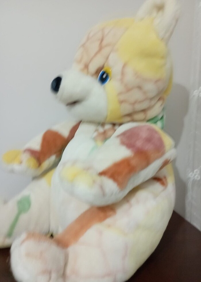 Büyük ayı  - Görsel 2