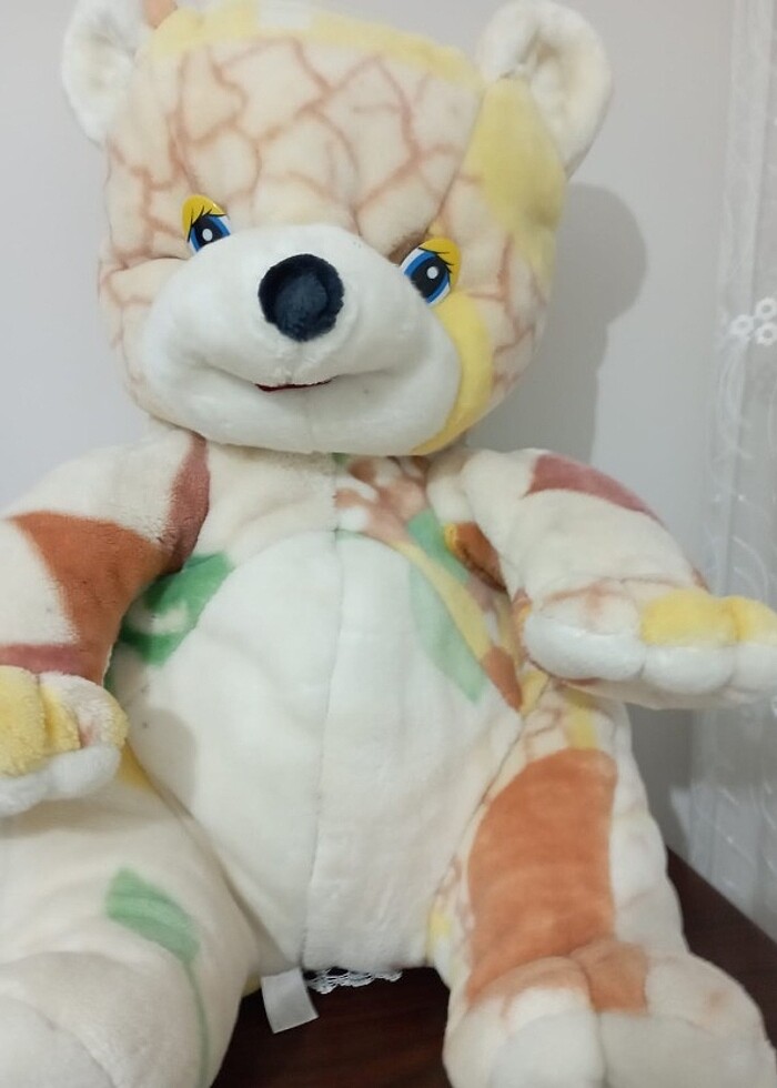 Büyük ayı  - Görsel 3