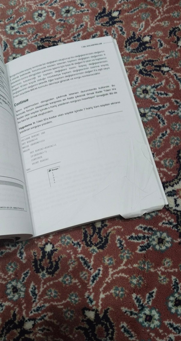 Sorgularla Adım Adım SQL Server Kitabı - Görsel 3