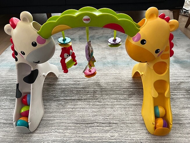 Fisher Price Oyuncak