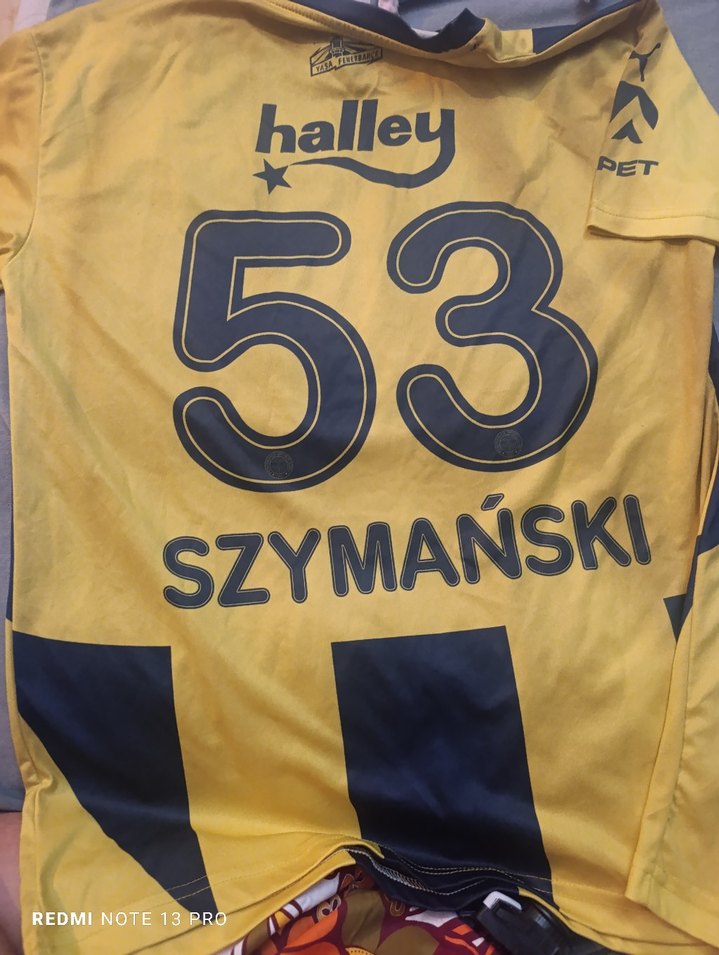 Puma Fenerbahçe Kısa Kollu  Forma - Görsel 3