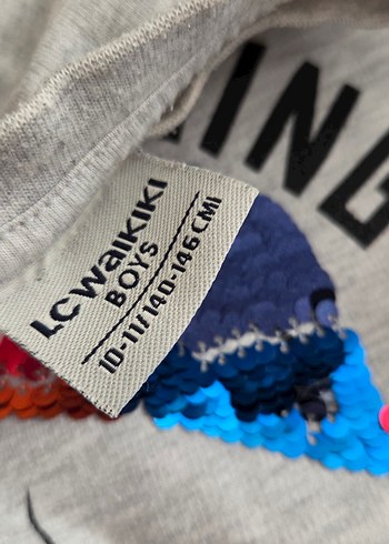 Gri Erkek Sweatshirt Uzun Kollu Baskılı - Görsel 4