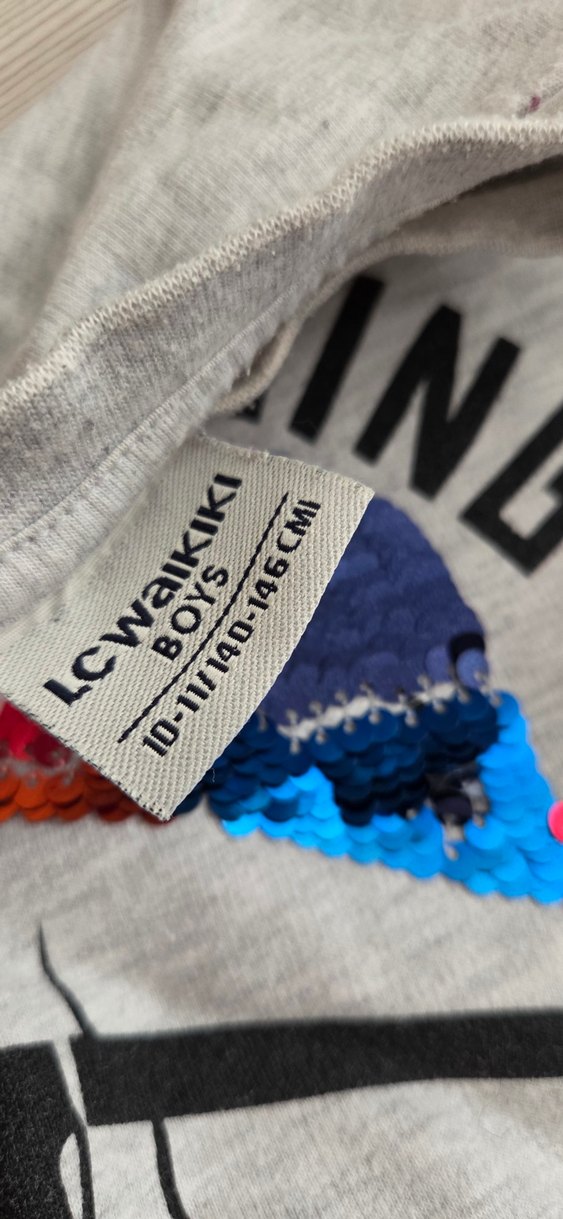 Gri Erkek Sweatshirt Uzun Kollu Baskılı - Görsel 4