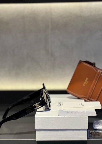 GÜNEŞ GÖZLÜĞÜ - Görsel 2