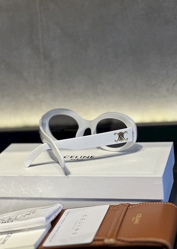 GÜNEŞ GÖZLÜĞÜ - Görsel 2