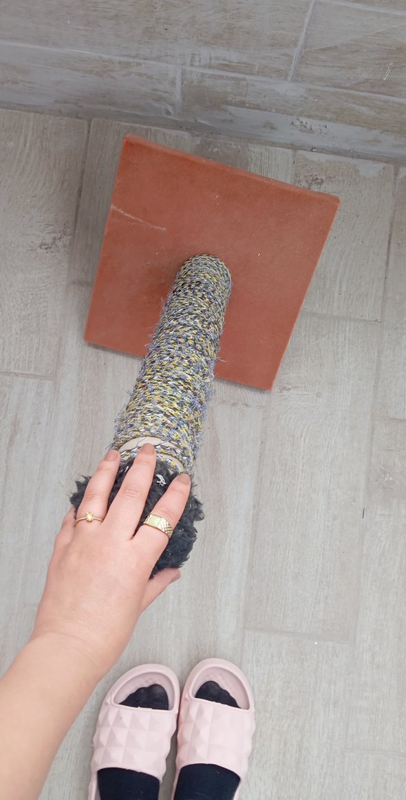 Gri Kediler için Tırmalama Direği - Görsel 3