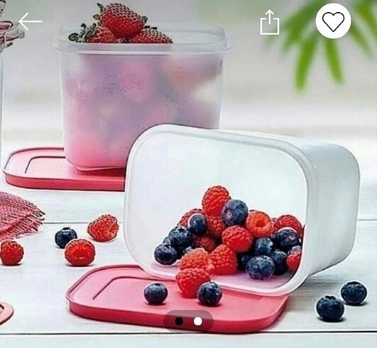 Tupperware Tupperware Alaska 1.1 lt