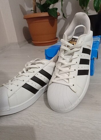 Adidas Süperstar 