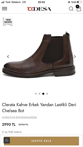 Desa kahverengi erkek bot