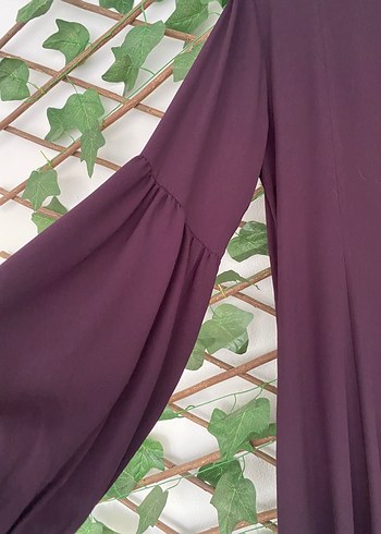 Mürdüm ferace - Görsel 4