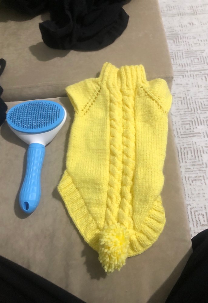 Renkli Mavi Kedi Tüy Fırçası - Görsel 3