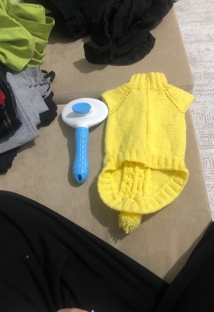 Renkli Mavi Kedi Tüy Fırçası - Görsel 4