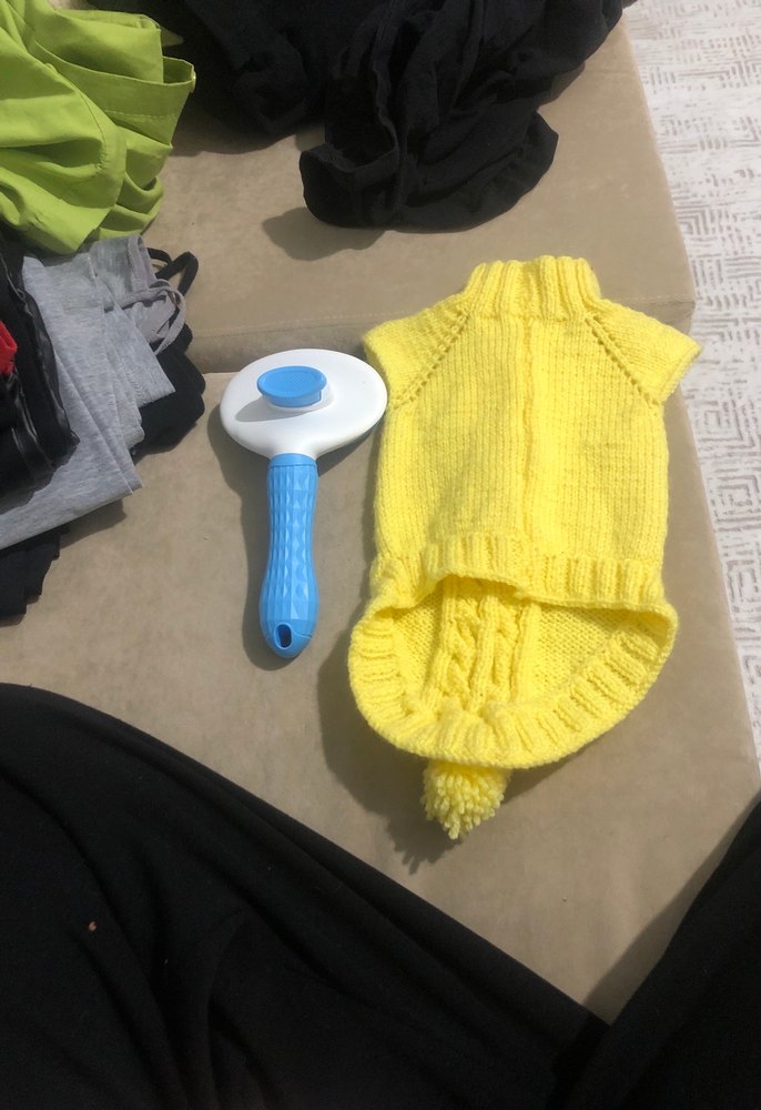 Renkli Mavi Kedi Tüy Fırçası - Görsel 5