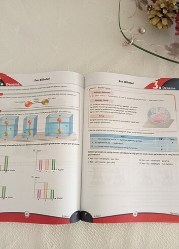  8.Sınıf Lgs 5'li Deneme