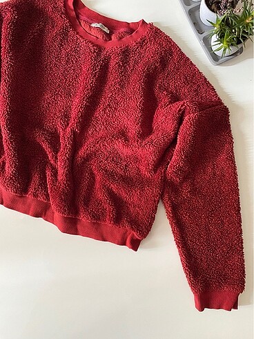 Collezione Sweatshirt