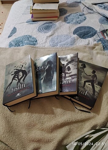 Hush hush serisi