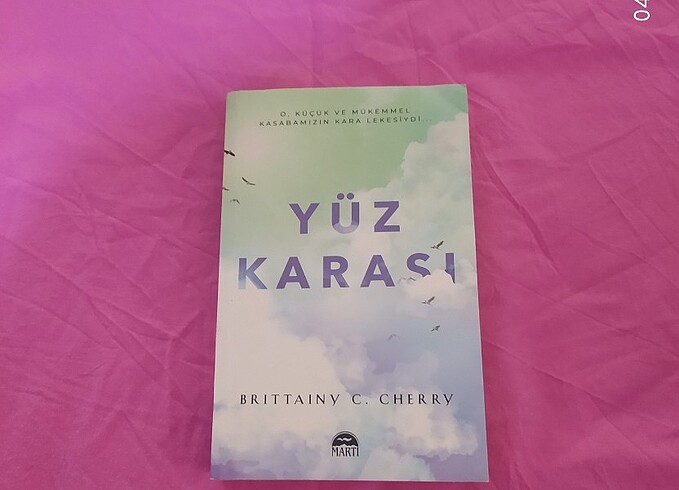 Yüz karası