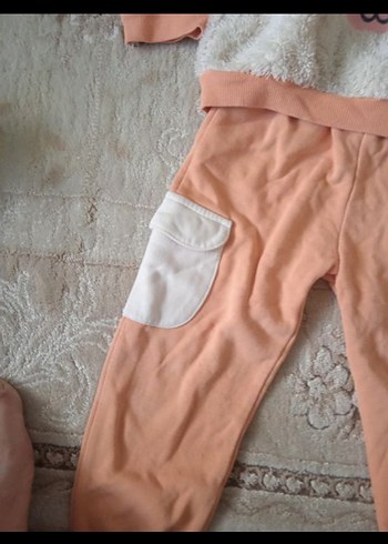 Pembe Kürklü Baskılı Bebek Kız Takımı - Görsel 3