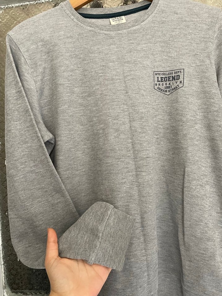 Gri Baskılı Erkek Sweatshirt - Görsel 3