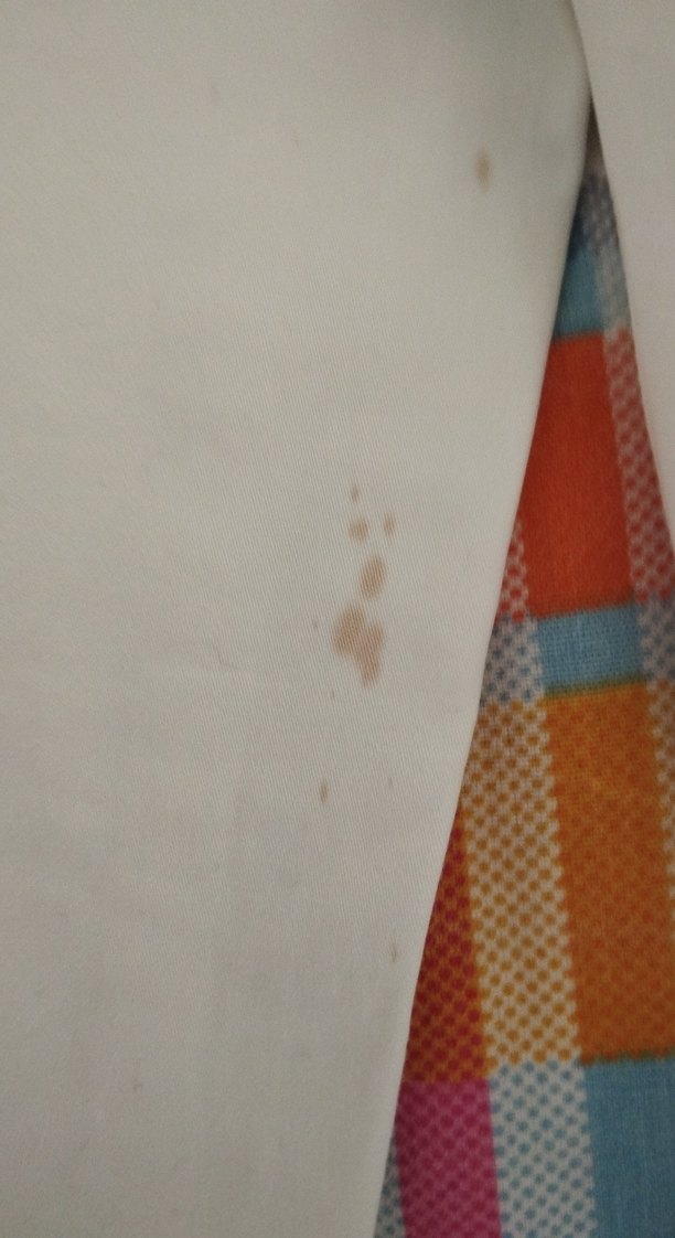 Kadın Beyaz Pamuk Kumaş Pantolon - Görsel 5